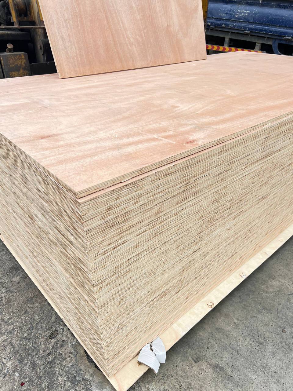 STAR PLYWOOD កុងផ្លាកេផ្កាយ 18L