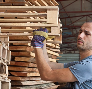Pallet in Action