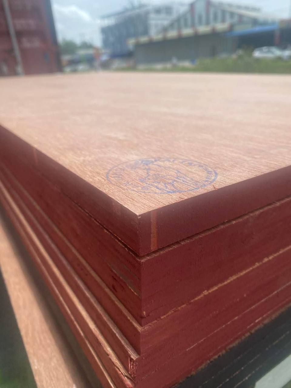 GOAT PLYWOOD កុងផ្លាកេពពែរ  15L