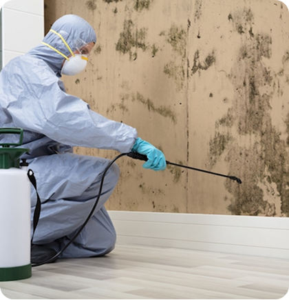 FUMIGATION & HEATMENT