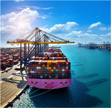Business & Export Network